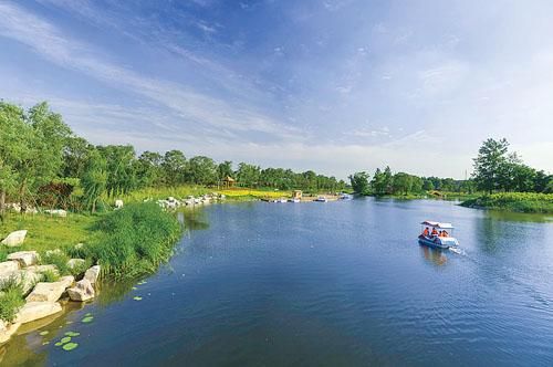 潍坊8处湿地入列省重点保护名录，4处国家湿地公园获评山东最美
