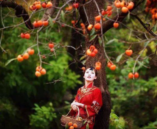 潍坊这些地方藏着一幅“柿柿”如意的山居图！