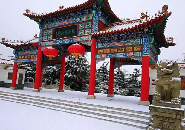 新年第一场大雪，雪中青州美爆了！