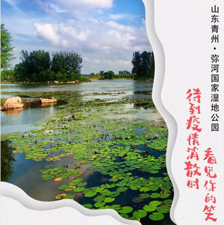 我在青州，给春天寄张明信片～