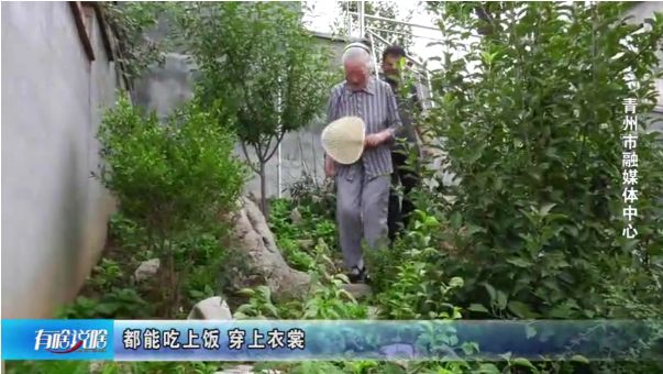 青州83岁老太刘桂英 “院”生活很美好