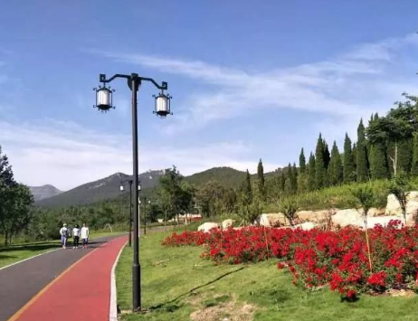 青州这条路被评为第一批“山东省最美绿道”