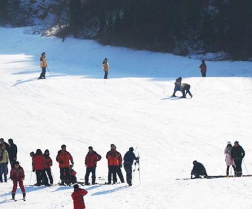 山东省文化和旅游厅冬日旅行线路推荐——滑雪健身篇 | 冬游齐鲁 
