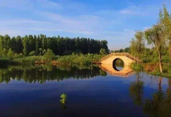 国庆期间，青州弥河湿地公园暂不开放