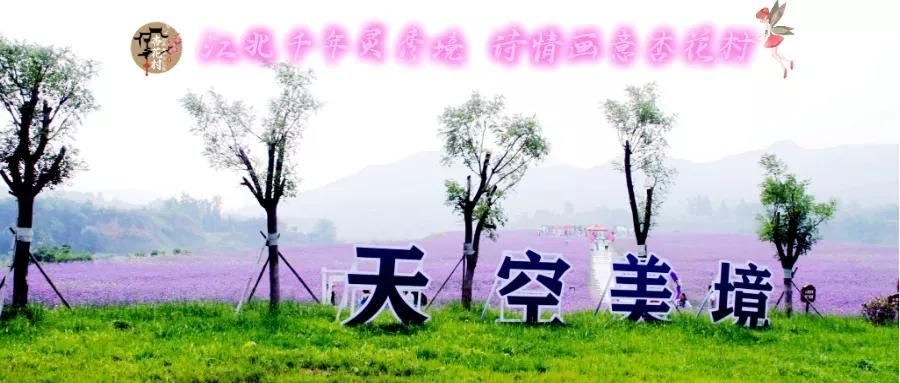 青州杏花村旅游度假区自11月02日起园区正式闭