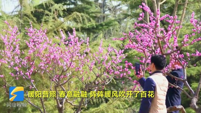 青州范公亭公园百花争艳齐开放 正是春日赏花时