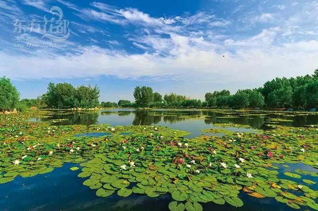 青州弥河国家湿地公园